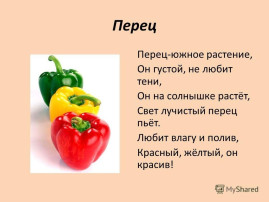 КРАСИВЫЙ СОЧНЫЙ ПЕРЕЦ КРАСИВЫЙ СОЧНЫЙ ПЕРЕЦ.
